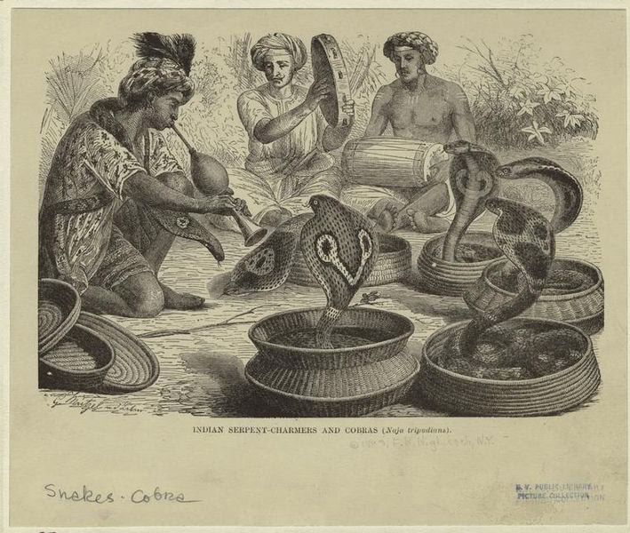 Indian cobra charmer engraving